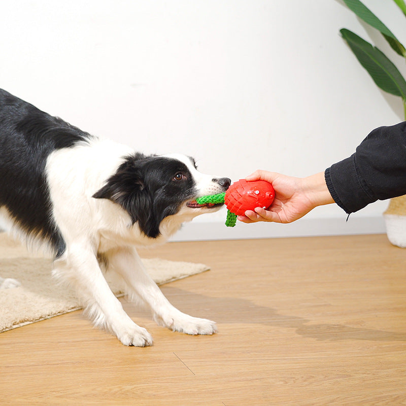 Interactive Dog Toys