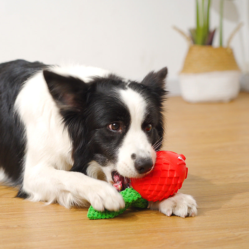 Interactive Dog Toys