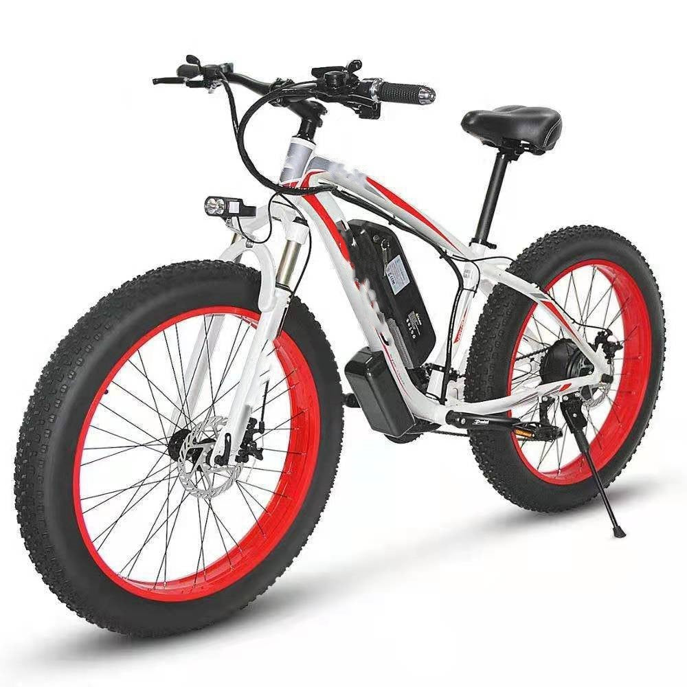 Electric Bicycle